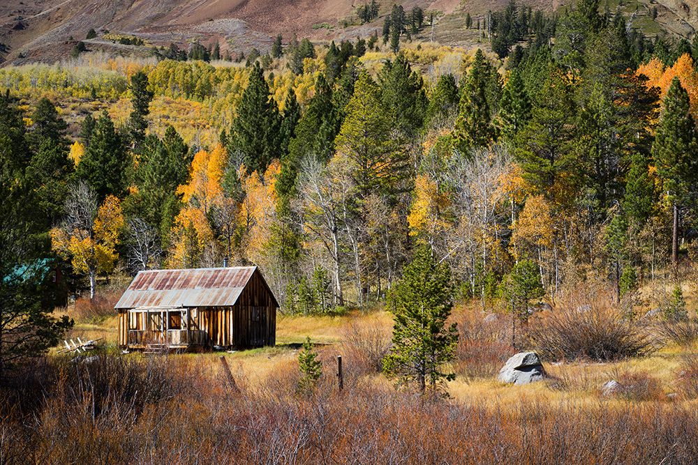 Rustic Barn art print by Richard Wong for $57.95 CAD