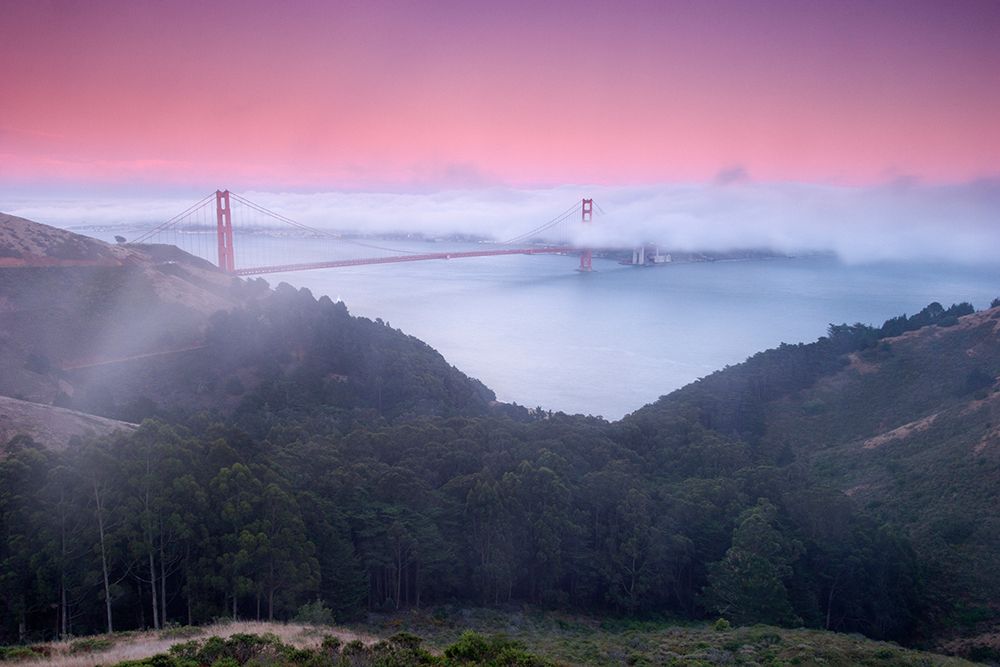 Twilight Fog art print by Richard Wong for $57.95 CAD