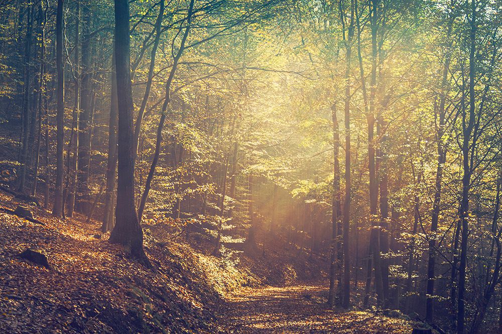 Luminance art print by Dirk Wustenhagen for $57.95 CAD