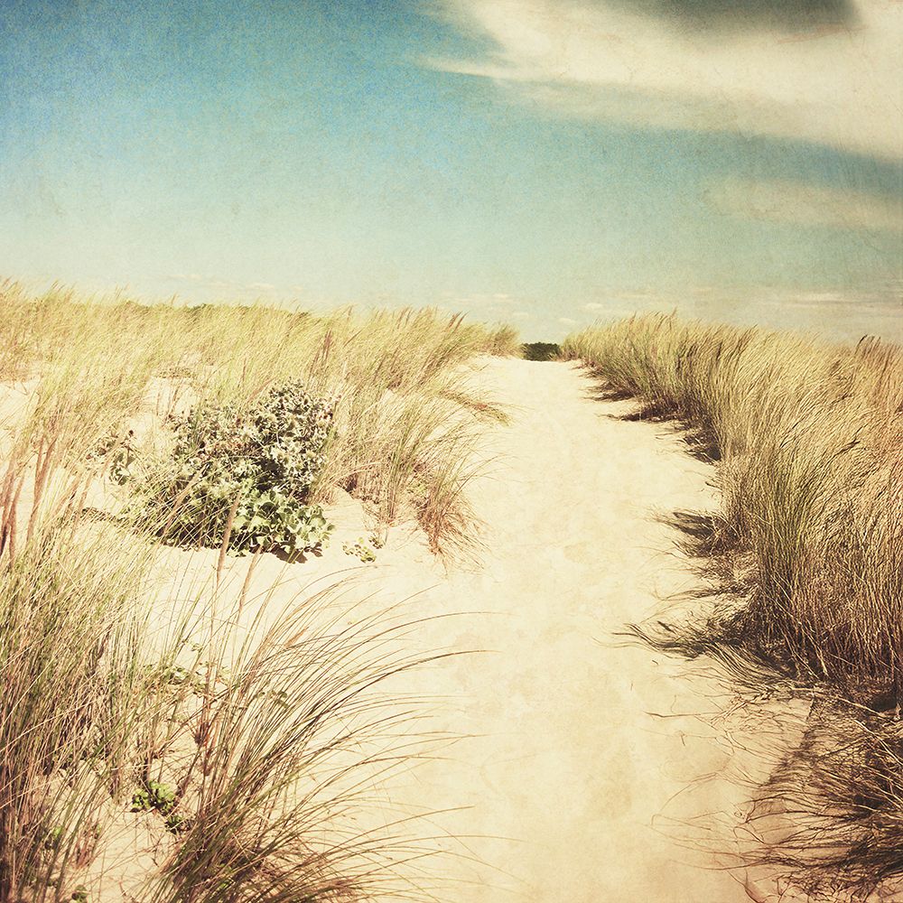 Sandy Path art print by Dirk Wustenhagen for $57.95 CAD