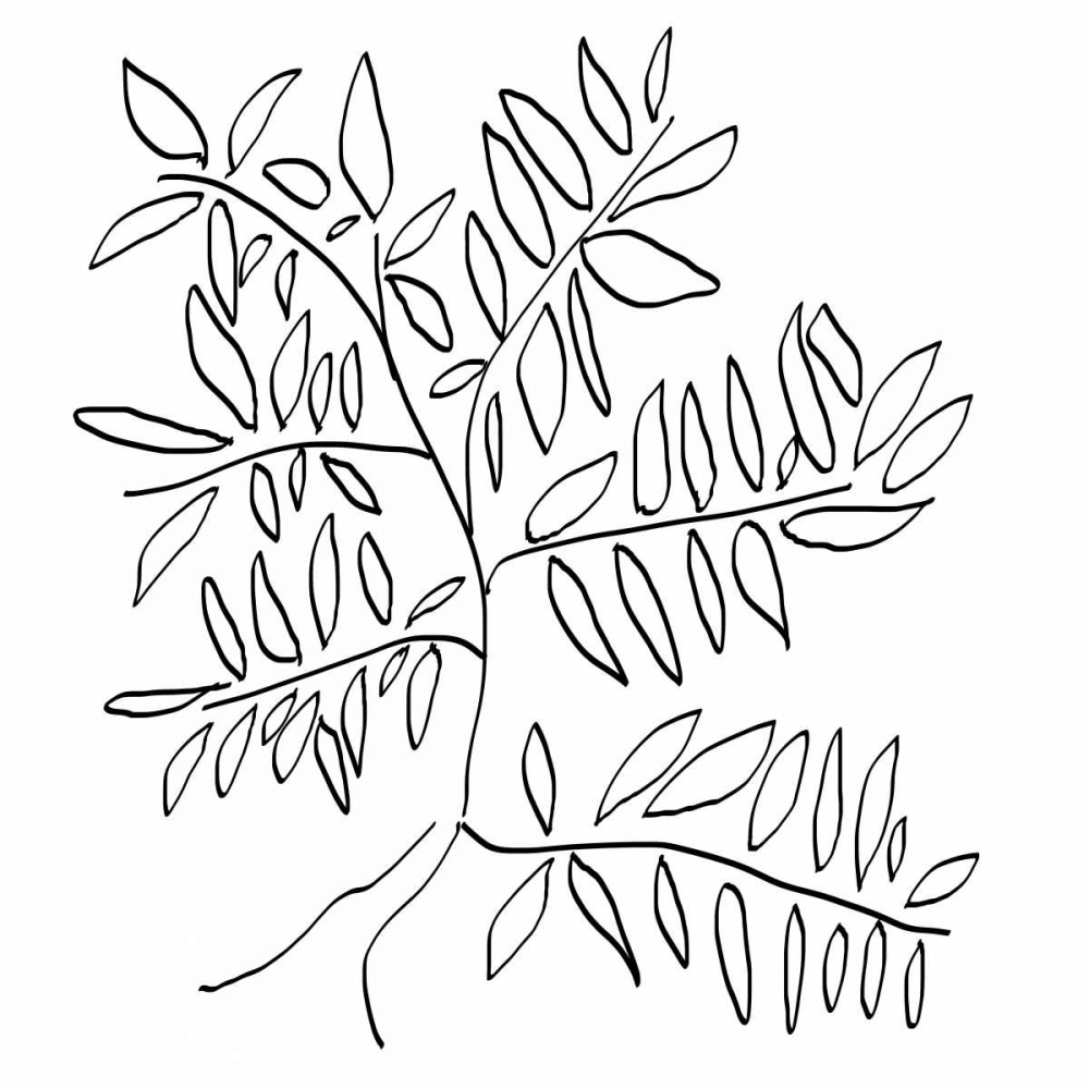 A Black and White Tree art print by Jan Weiss for $57.95 CAD