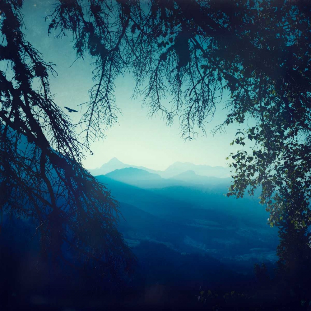 Blue Morning art print by Dirk Wuestenhagen for $57.95 CAD