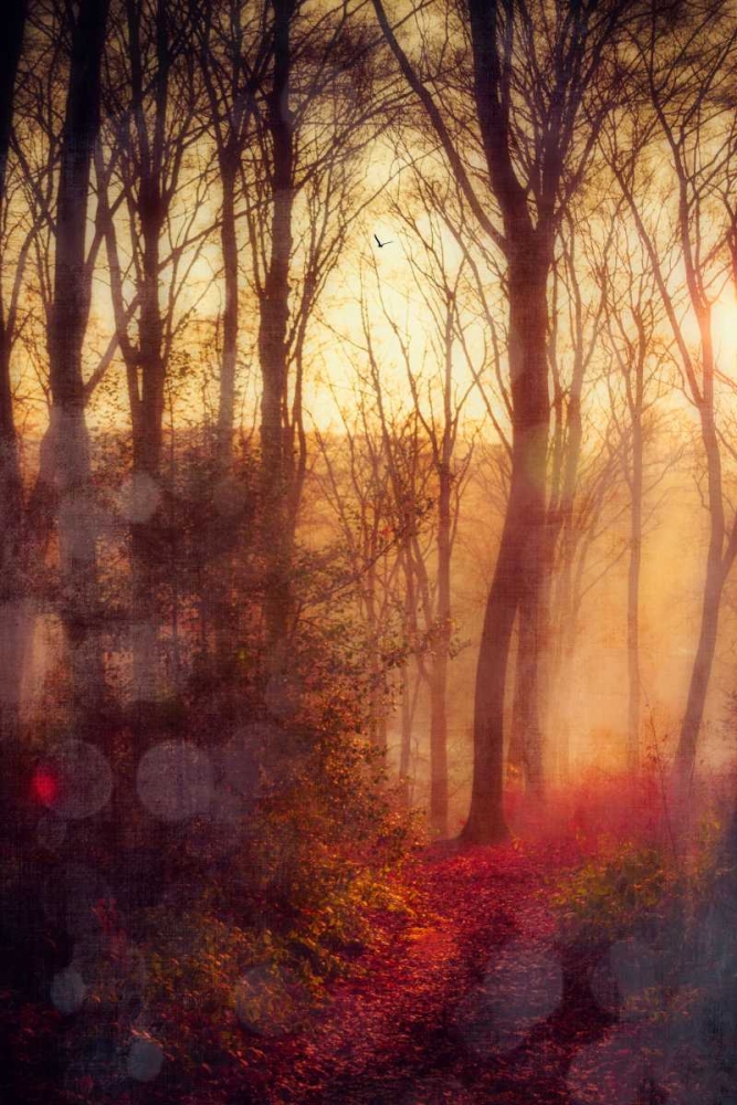 Seasons Light art print by Dirk Wuestenhagen for $57.95 CAD