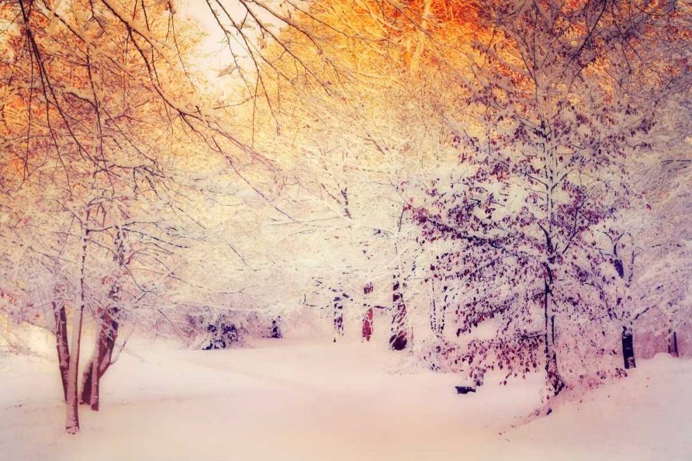 Snowy Sunrise art print by Dirk Wuestenhagen for $57.95 CAD