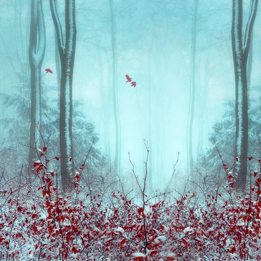 Everything and More art print by Dirk Wuestenhagen for $57.95 CAD