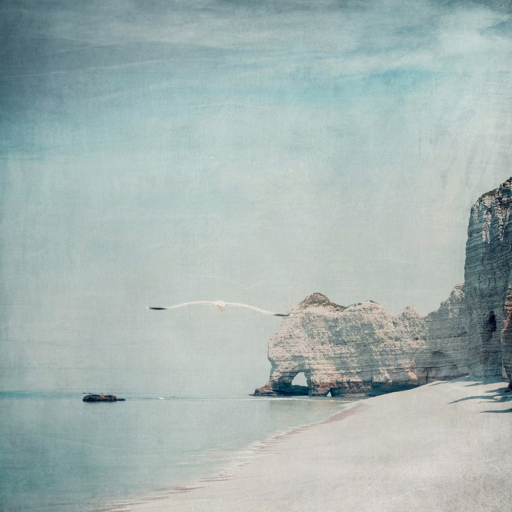 Gliding art print by Dirk Wuestenhagen for $57.95 CAD