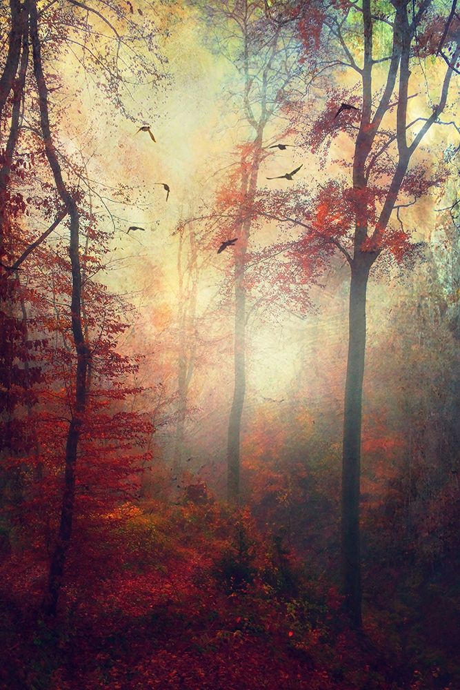 Haze art print by Dirk Wuestenhagen for $57.95 CAD