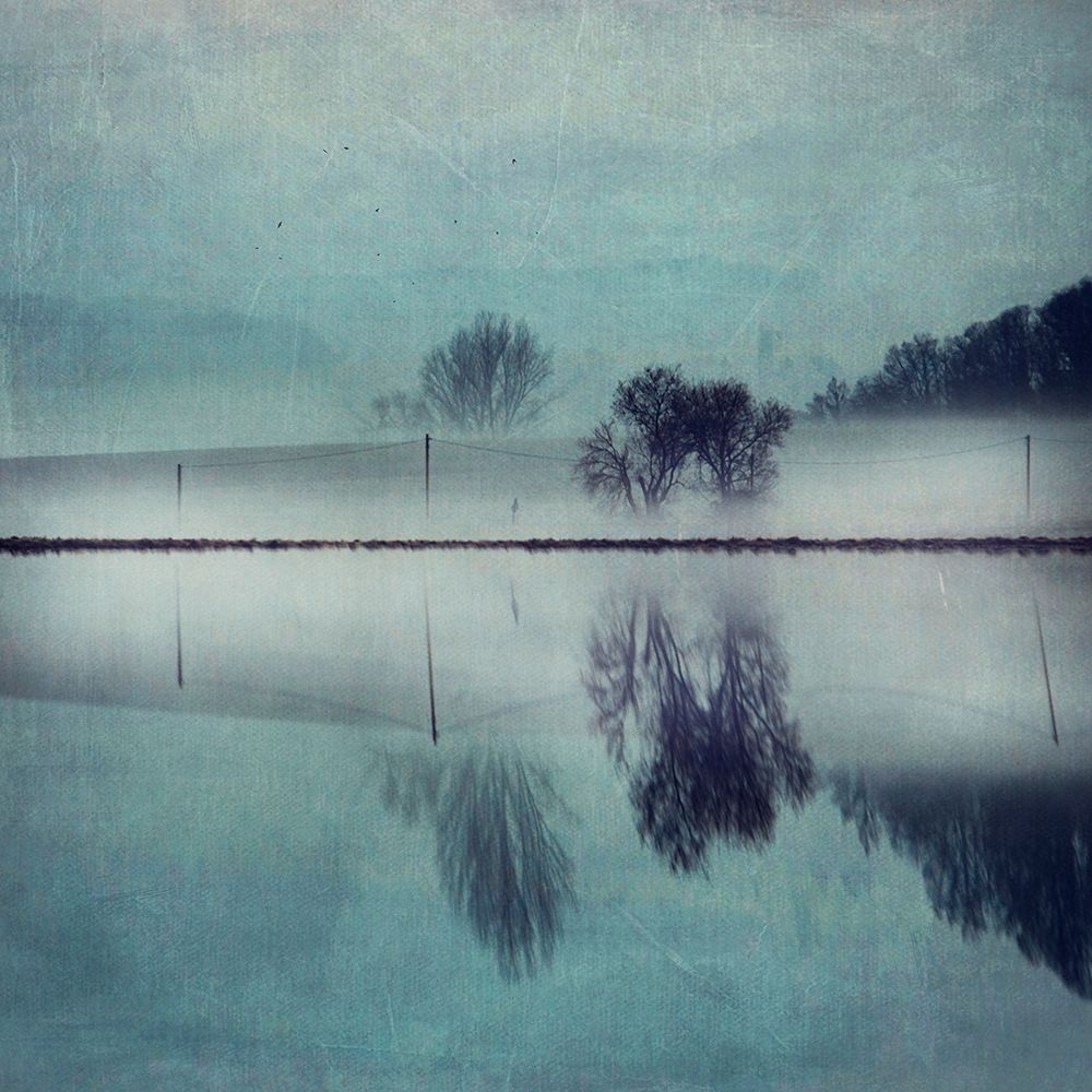 Misty Mirror art print by Dirk Wuestenhagen for $57.95 CAD