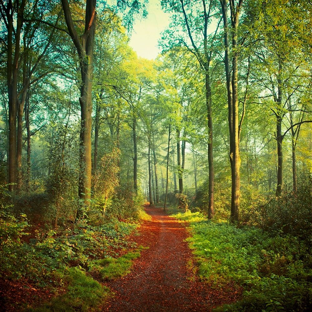 Sunday Morning Walk art print by Dirk Wuestenhagen for $57.95 CAD