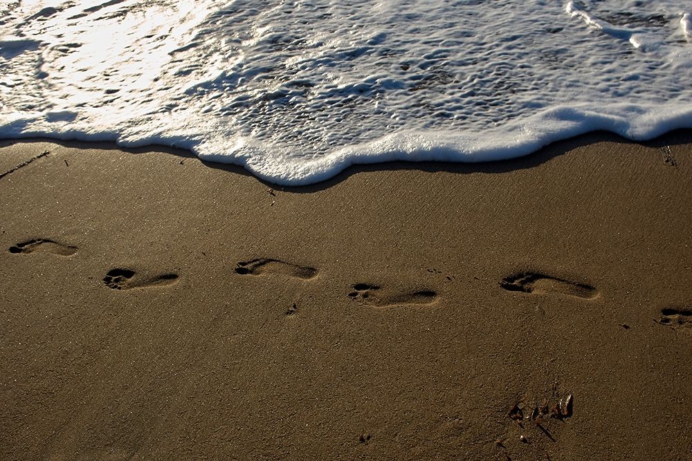 Footprints art print by Lynda White for $57.95 CAD