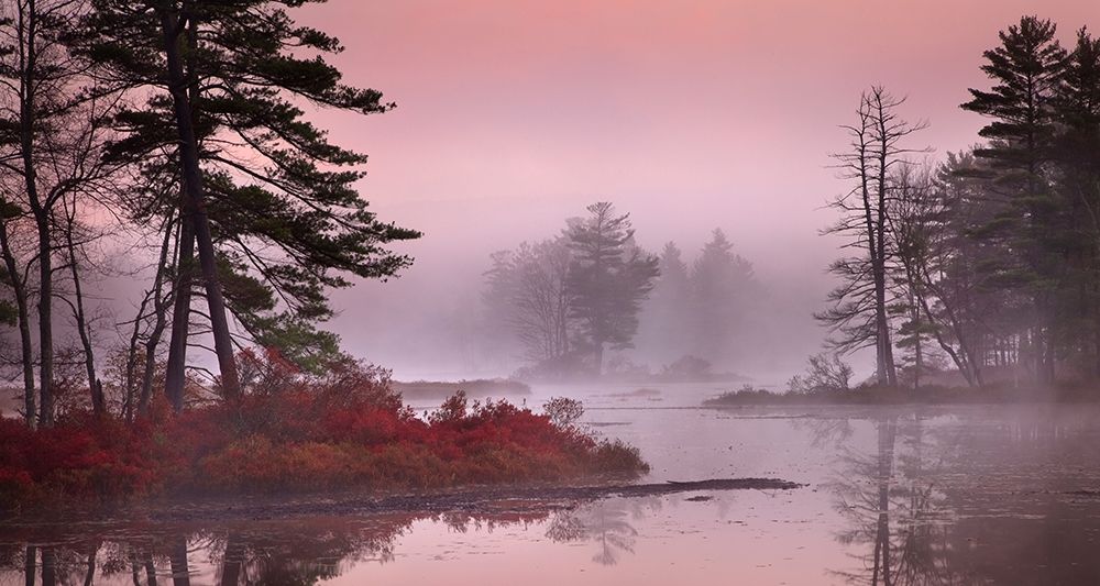 Pink Fog art print by Patrick Zephyr for $57.95 CAD