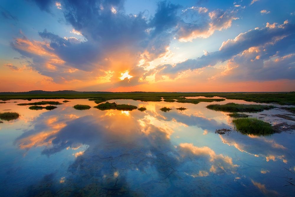 Plum Island art print by Patrick Zephyr for $57.95 CAD