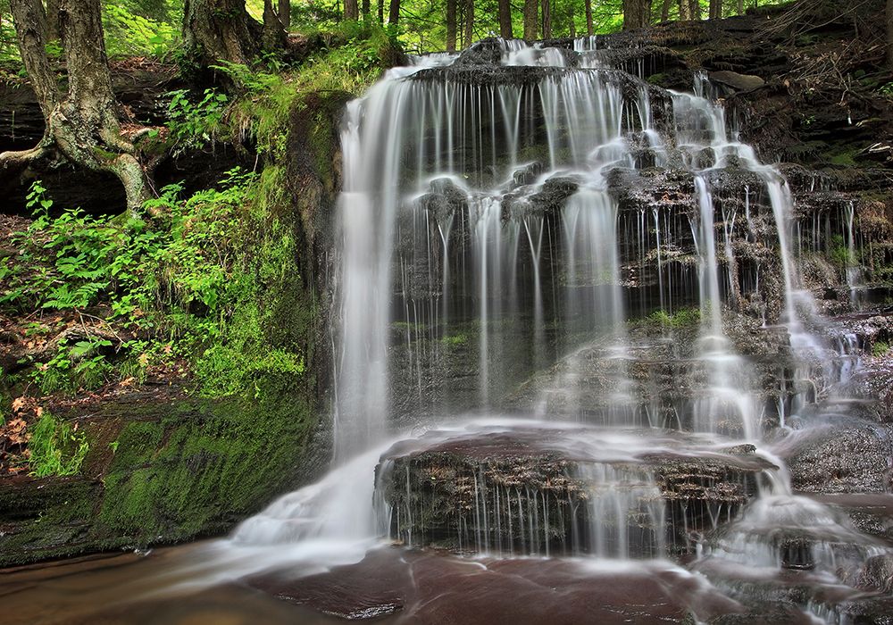 Gunn Brooks Falls art print by Patrick Zephyr for $57.95 CAD