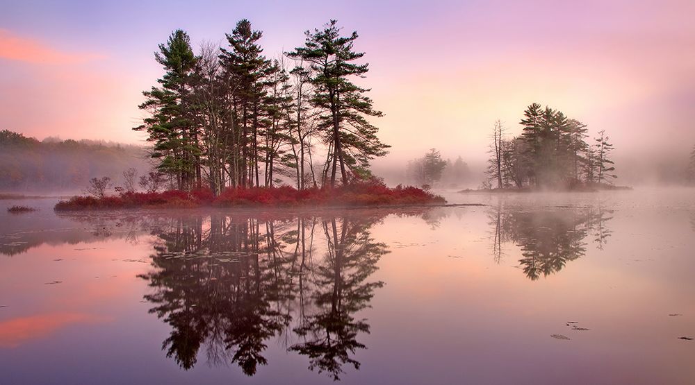 Islands in The Pink art print by Patrick Zephyr for $57.95 CAD