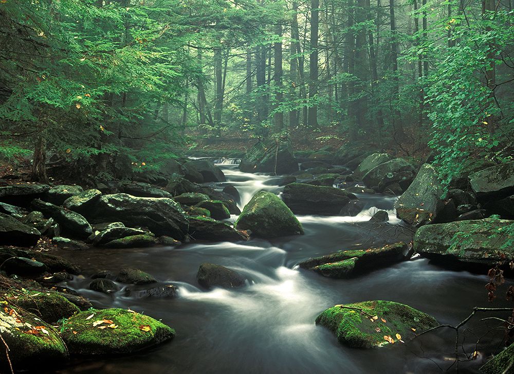 Sawmill River art print by Patrick Zephyr for $57.95 CAD