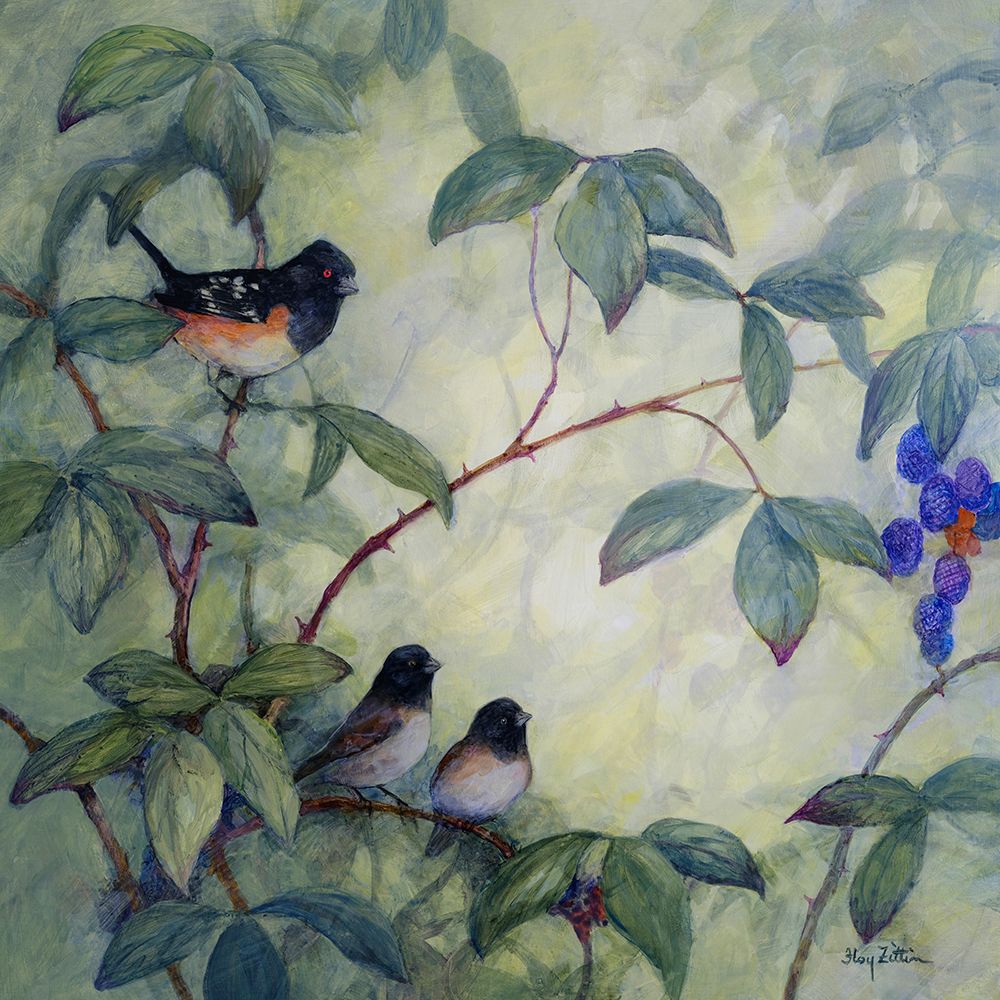 Towhee and Juncos art print by Floy Zittin for $57.95 CAD