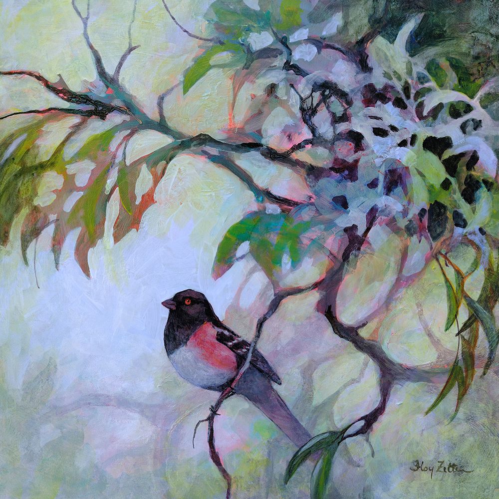 Playful Towhee art print by Floy Zittin for $57.95 CAD