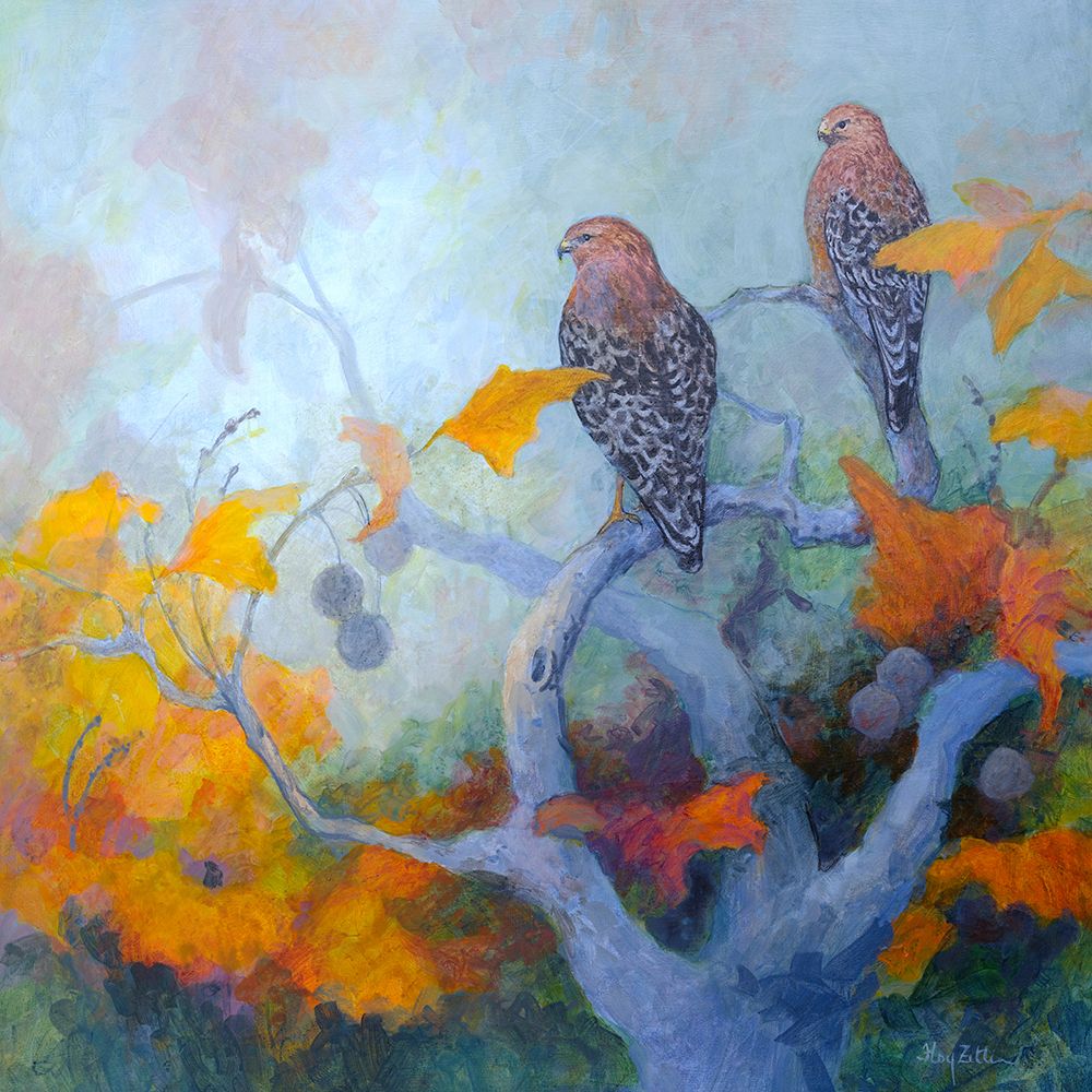 Red-shouldered Hawk Pair art print by Floy Zittin for $57.95 CAD