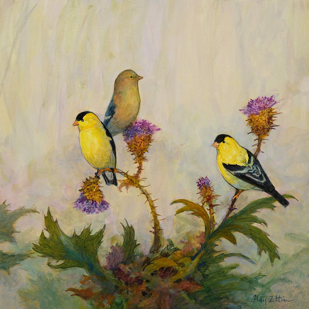 American Goldfinch No. 2 art print by Floy Zittin for $57.95 CAD