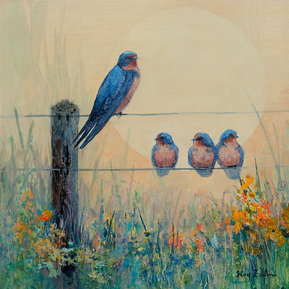 Barn Swallow Family art print by Floy Zittin for $57.95 CAD