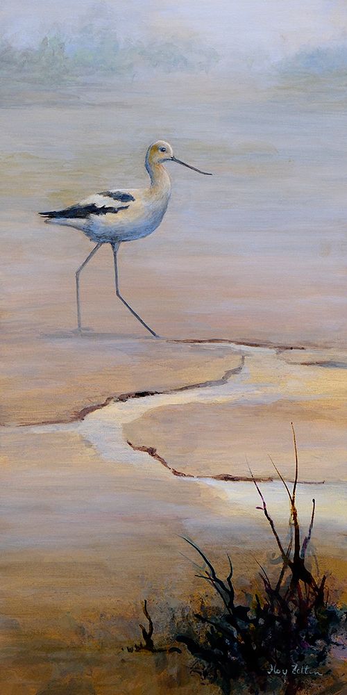 Avocet at Low Tide art print by Floy Zittin for $57.95 CAD