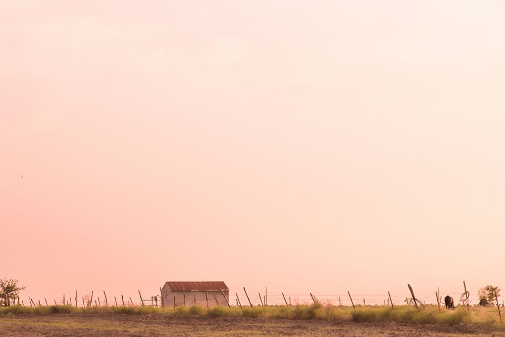 Barn + Blushing Sky art print by Lisa Zinna for $57.95 CAD