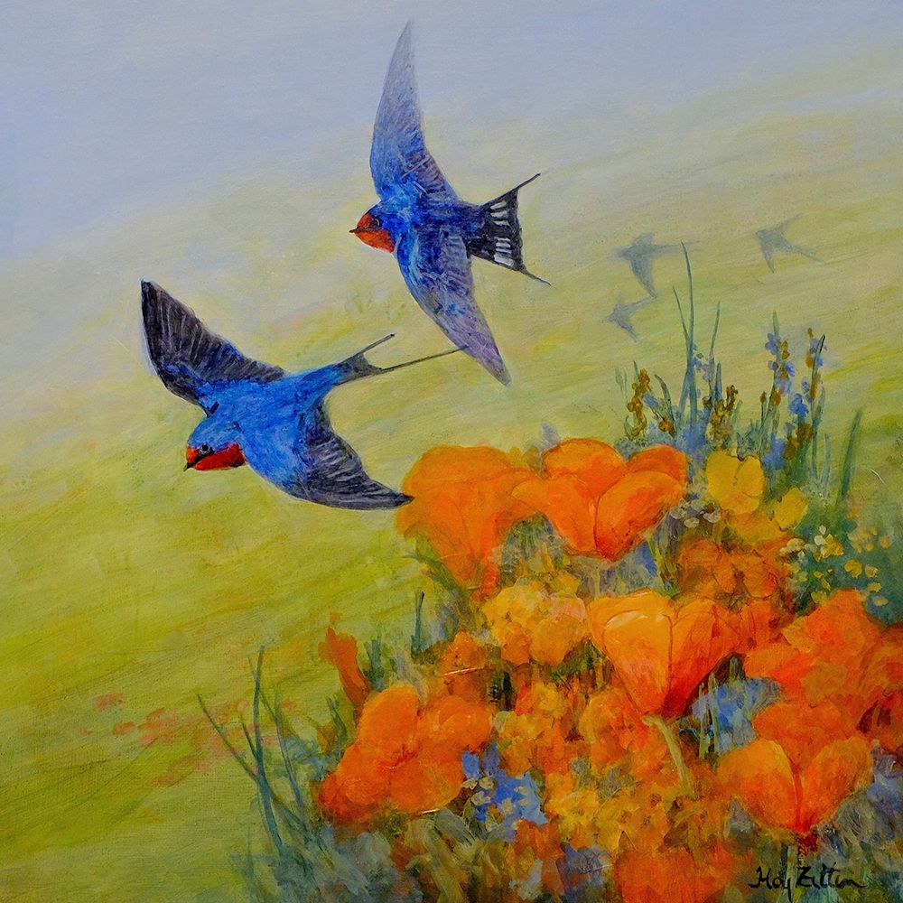 Barn Swallows and Poppies art print by Floy Zittin for $57.95 CAD