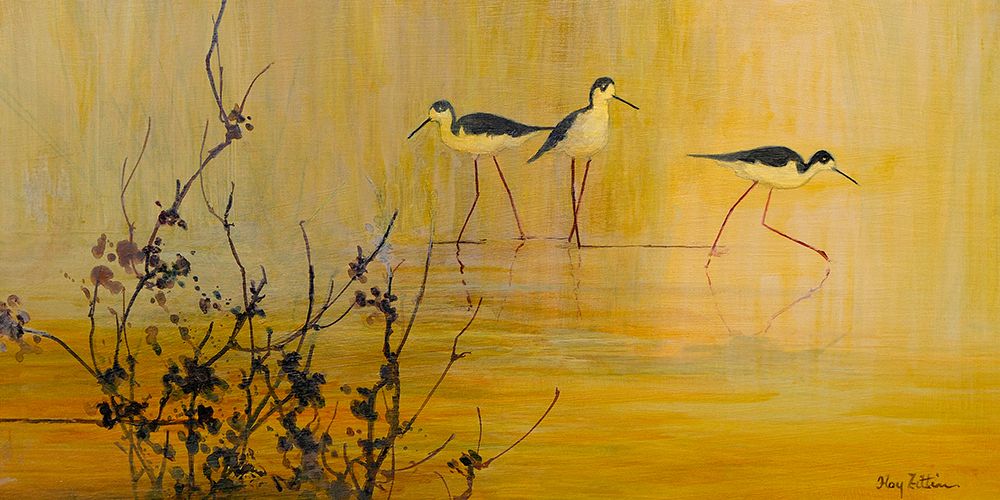 Black-necked Stilts art print by Floy Zittin for $57.95 CAD
