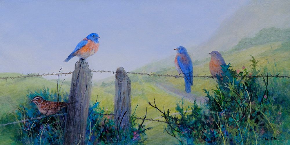 Bluebird Trio and a Sparrow art print by Floy Zittin for $57.95 CAD