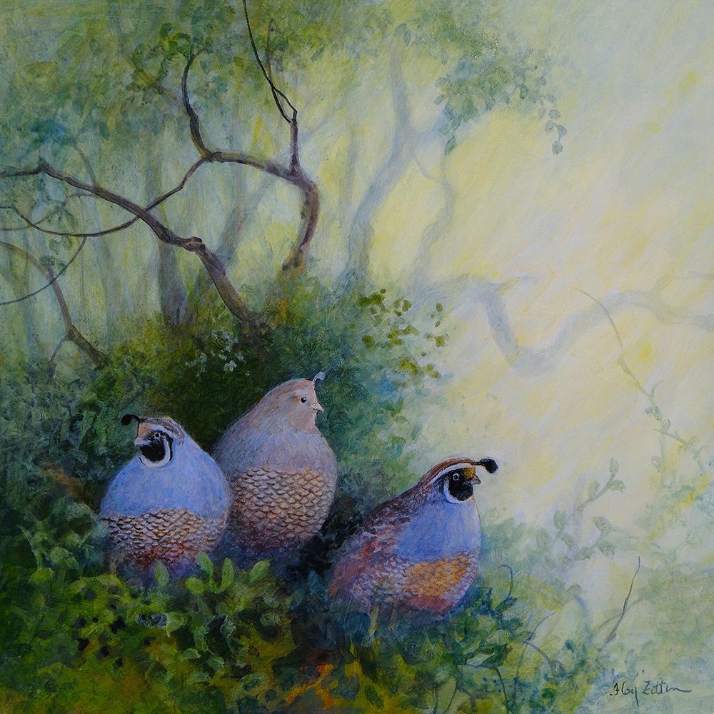 Quail Trio art print by Floy Zittin for $57.95 CAD