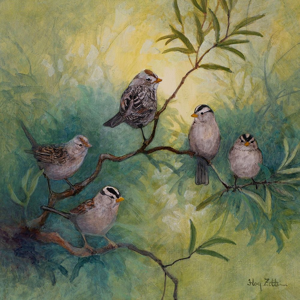 White-crowned Sparrows art print by Floy Zittin for $57.95 CAD