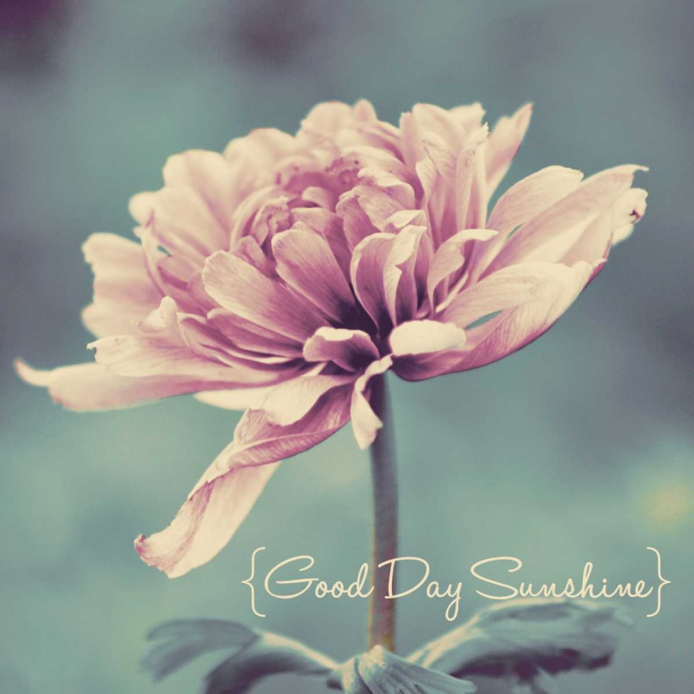 Good Day Sunshine Border art print by Gail Peck for $57.95 CAD