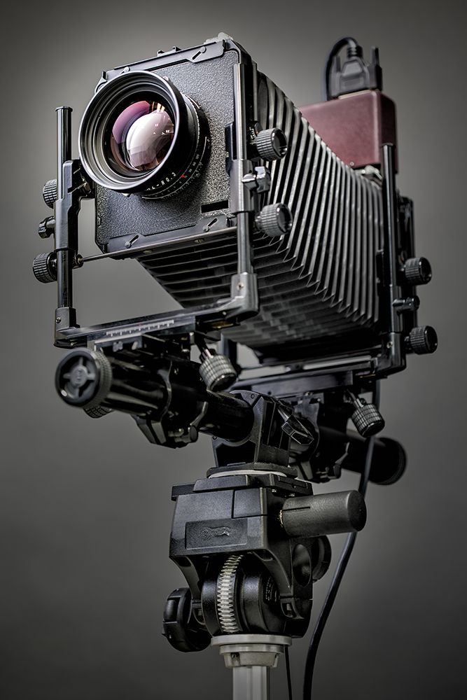 Camera art print by Shelley Lake for $57.95 CAD