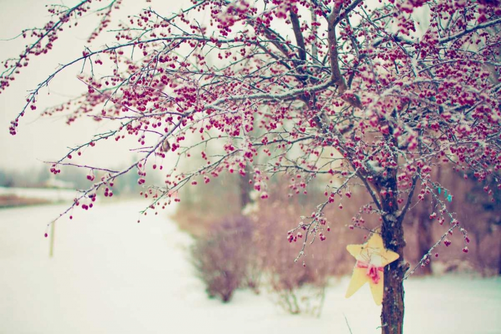 Winter Berries I art print by Kelly Poynter for $57.95 CAD