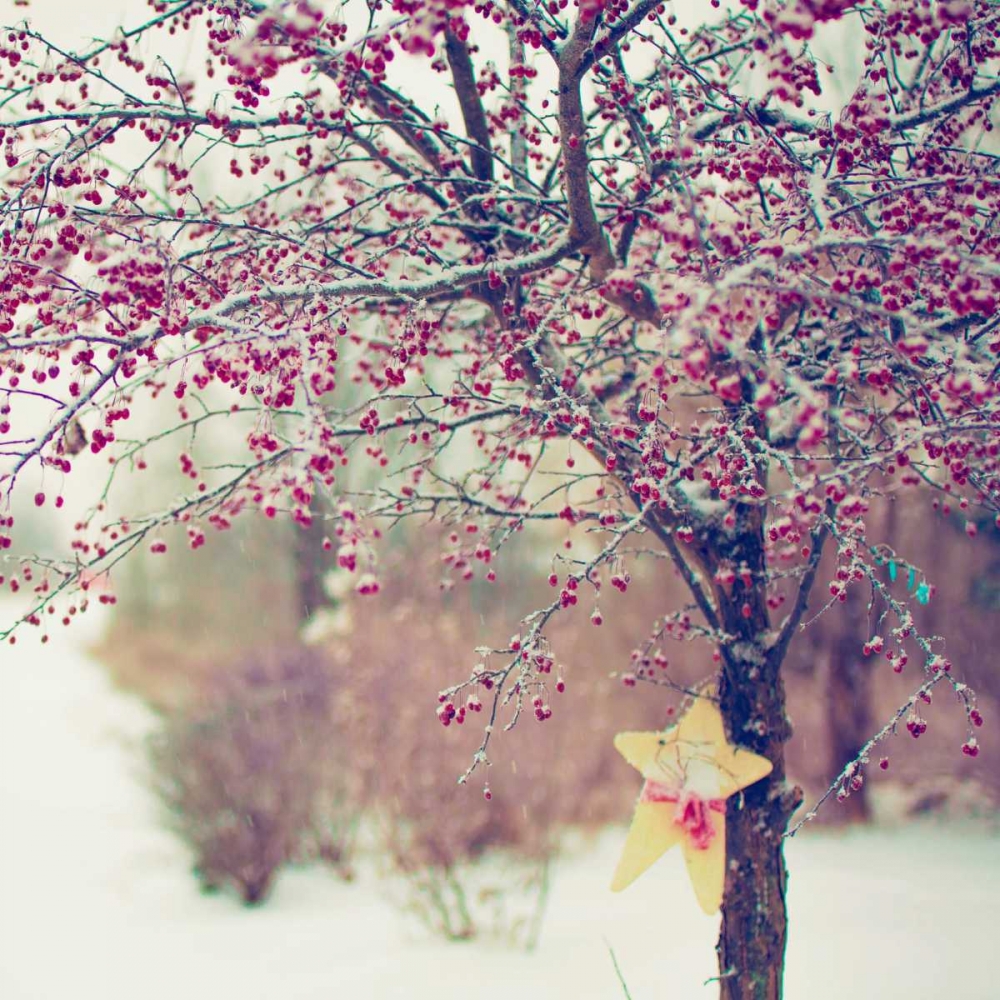 Winter Berries II art print by Kelly Poynter for $57.95 CAD