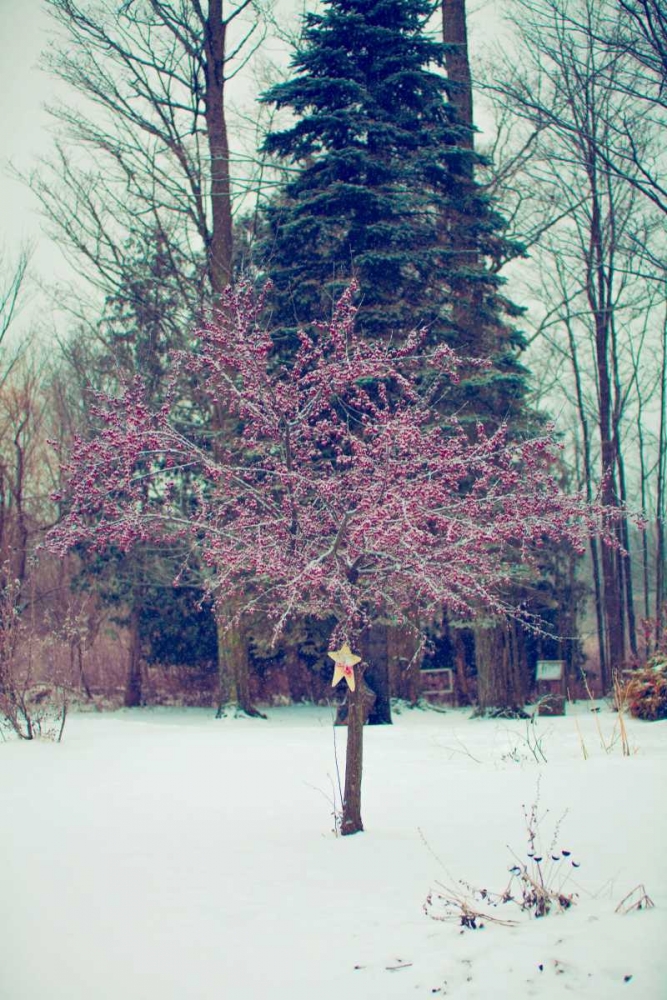 Winter Berries III art print by Kelly Poynter for $57.95 CAD