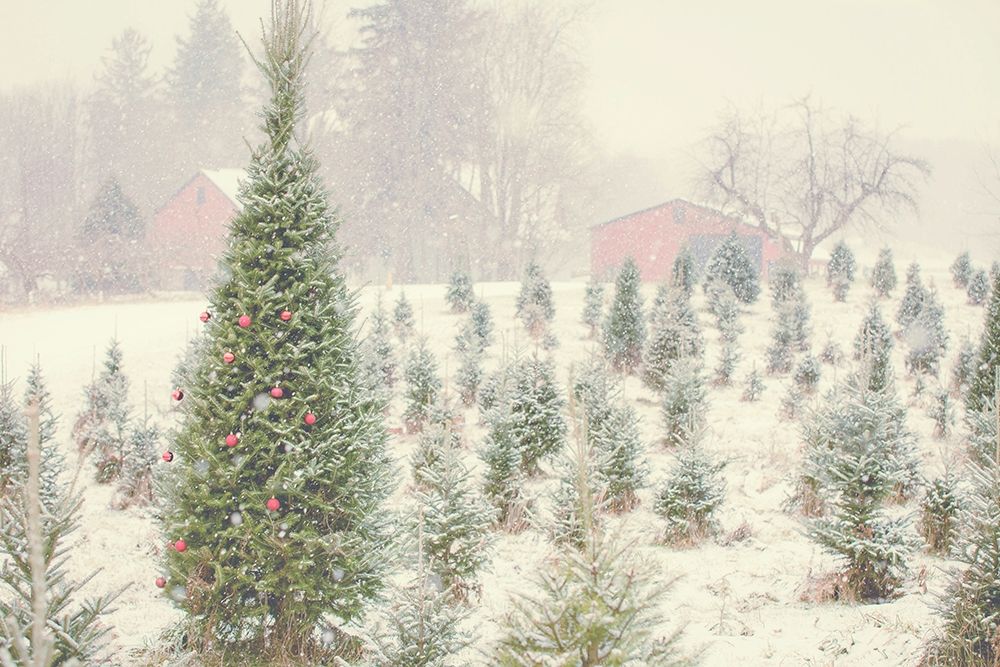 Holiday Cabin art print by Kelly Poynter for $57.95 CAD
