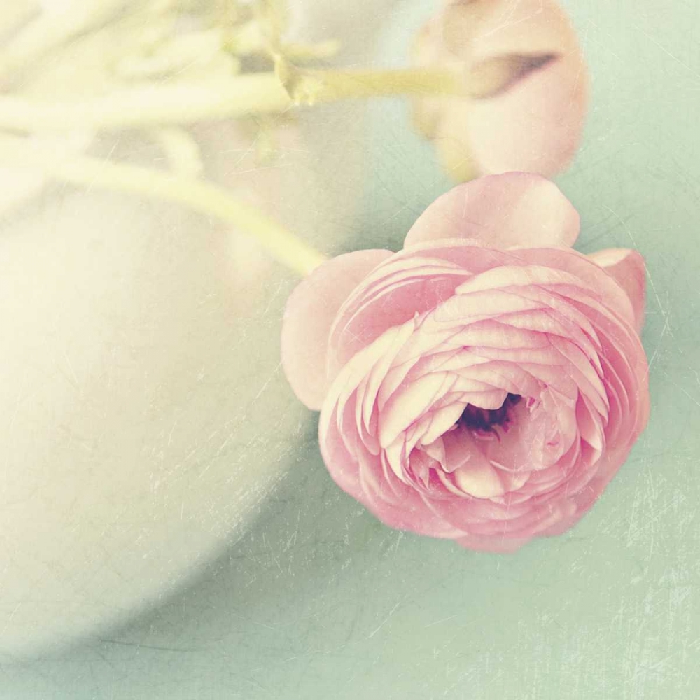 Vintage Pink Peony I art print by Sarah Gardner for $57.95 CAD