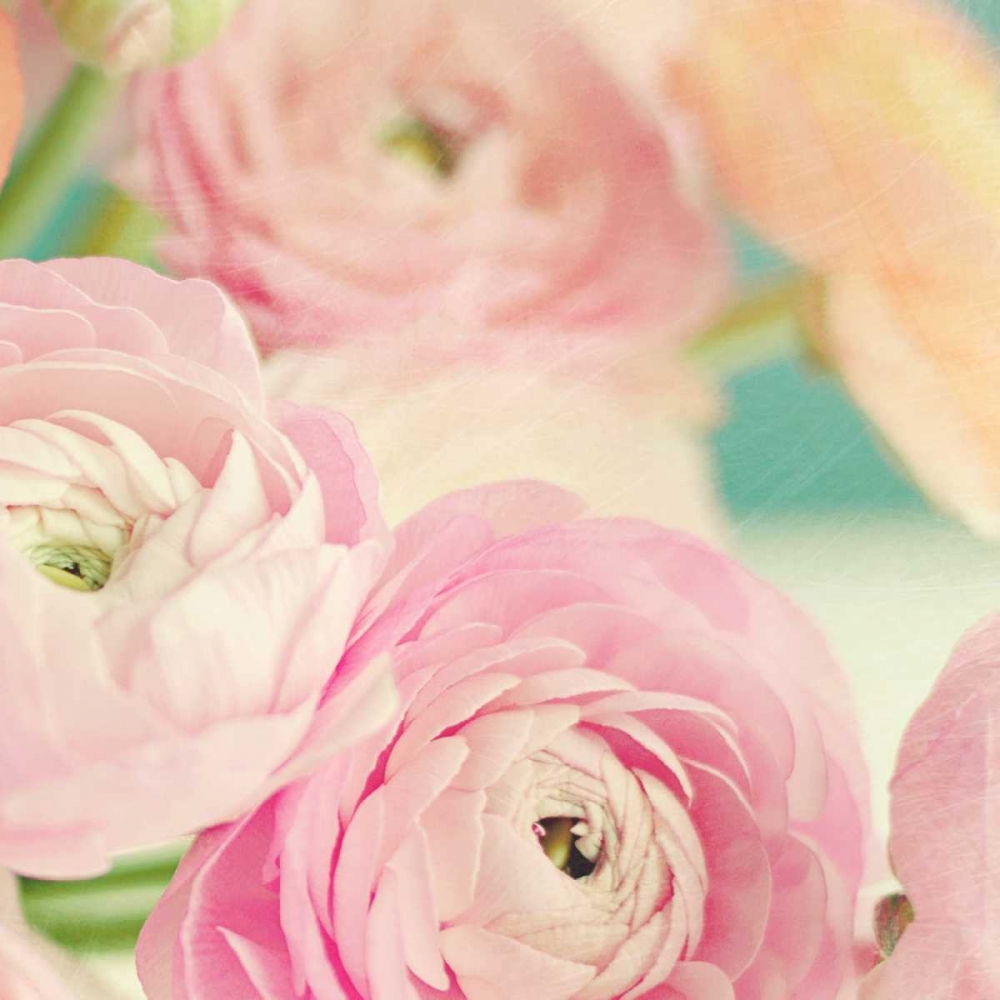 Blushing Blossoms Square I art print by Sarah Gardner for $57.95 CAD