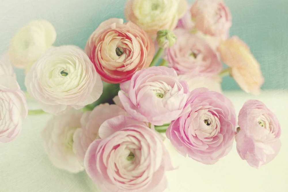 Blushing Blossoms art print by Sarah Gardner for $57.95 CAD
