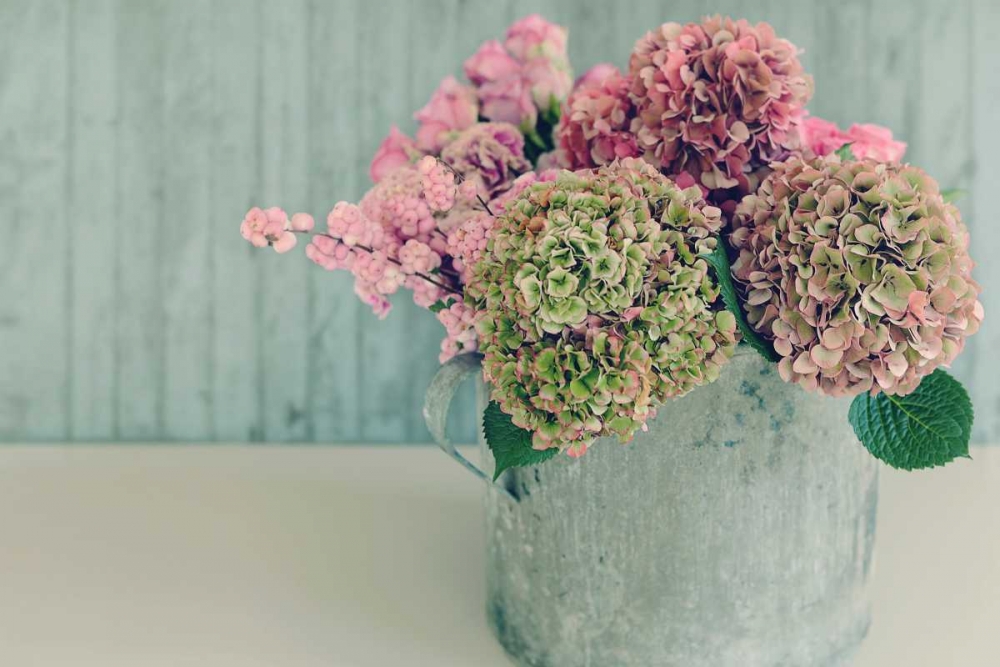 Blossoming Water Can art print by Sarah Gardner for $57.95 CAD