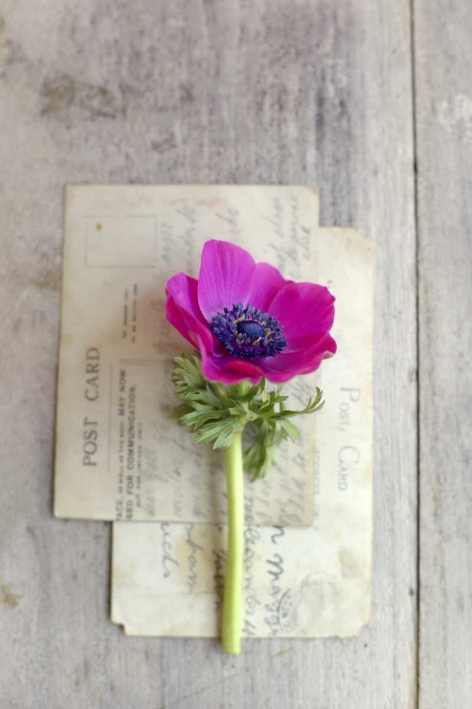 Love Note art print by Sarah Gardner for $57.95 CAD