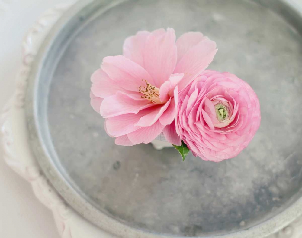 A Captivating Pair art print by Sarah Gardner for $57.95 CAD