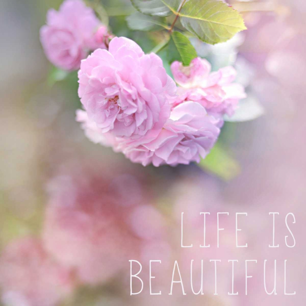 Life is Beautiful art print by Sarah Gardner for $57.95 CAD
