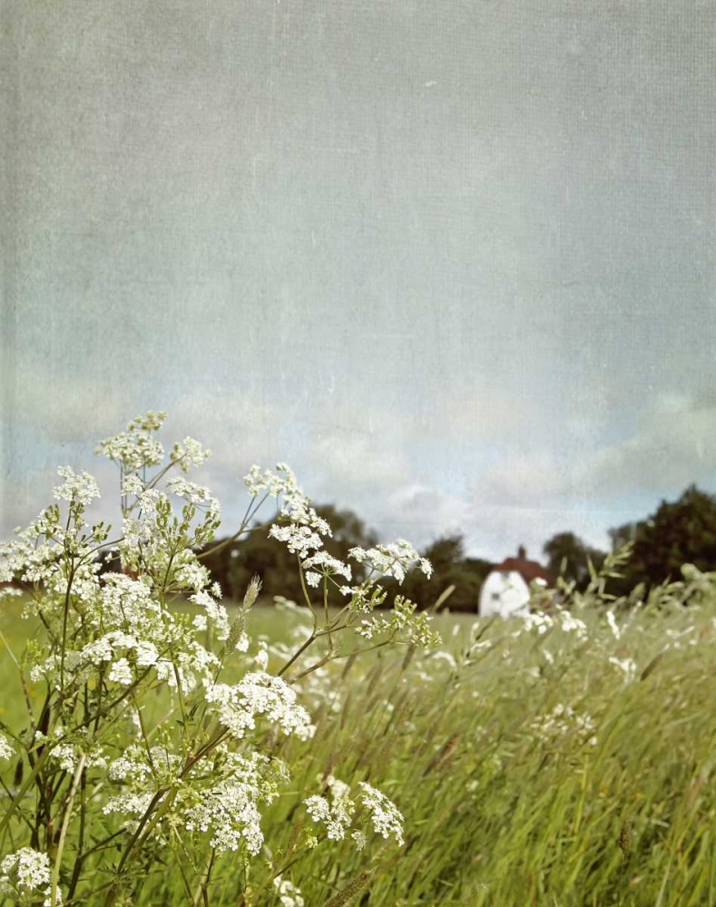 In the Pasture art print by Sarah Gardner for $57.95 CAD