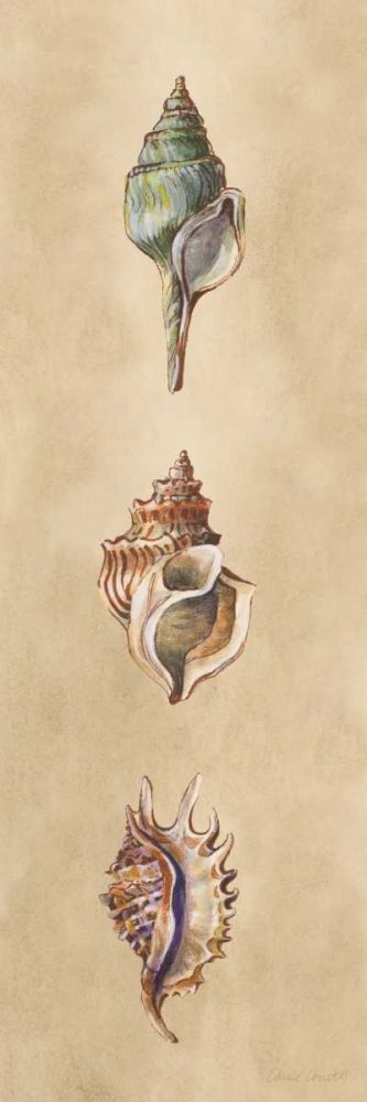 Seashells Panel I art print by Lanie Loreth for $57.95 CAD