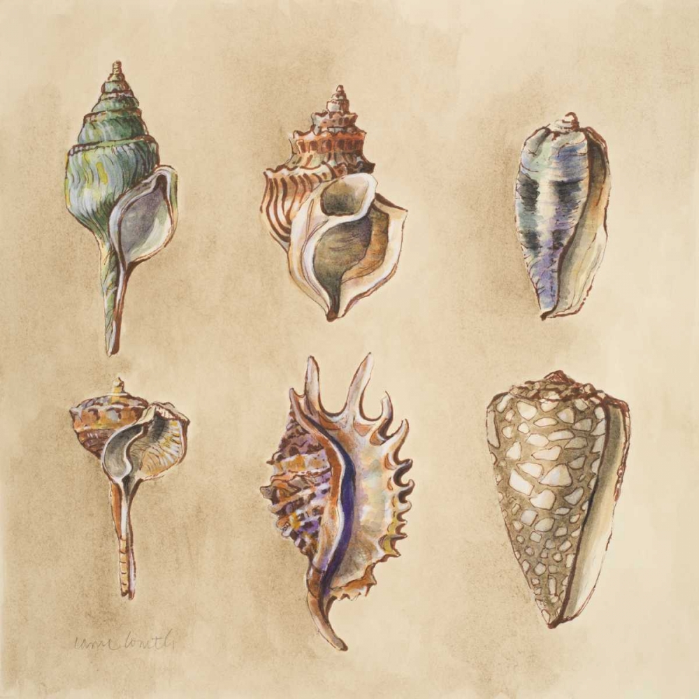 Seashells I art print by Lanie Loreth for $57.95 CAD