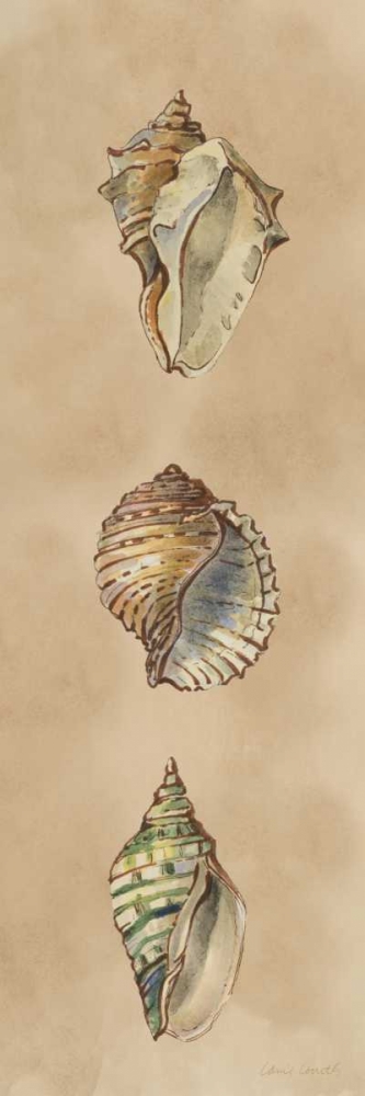 Seashells Panel II art print by Lanie Loreth for $57.95 CAD