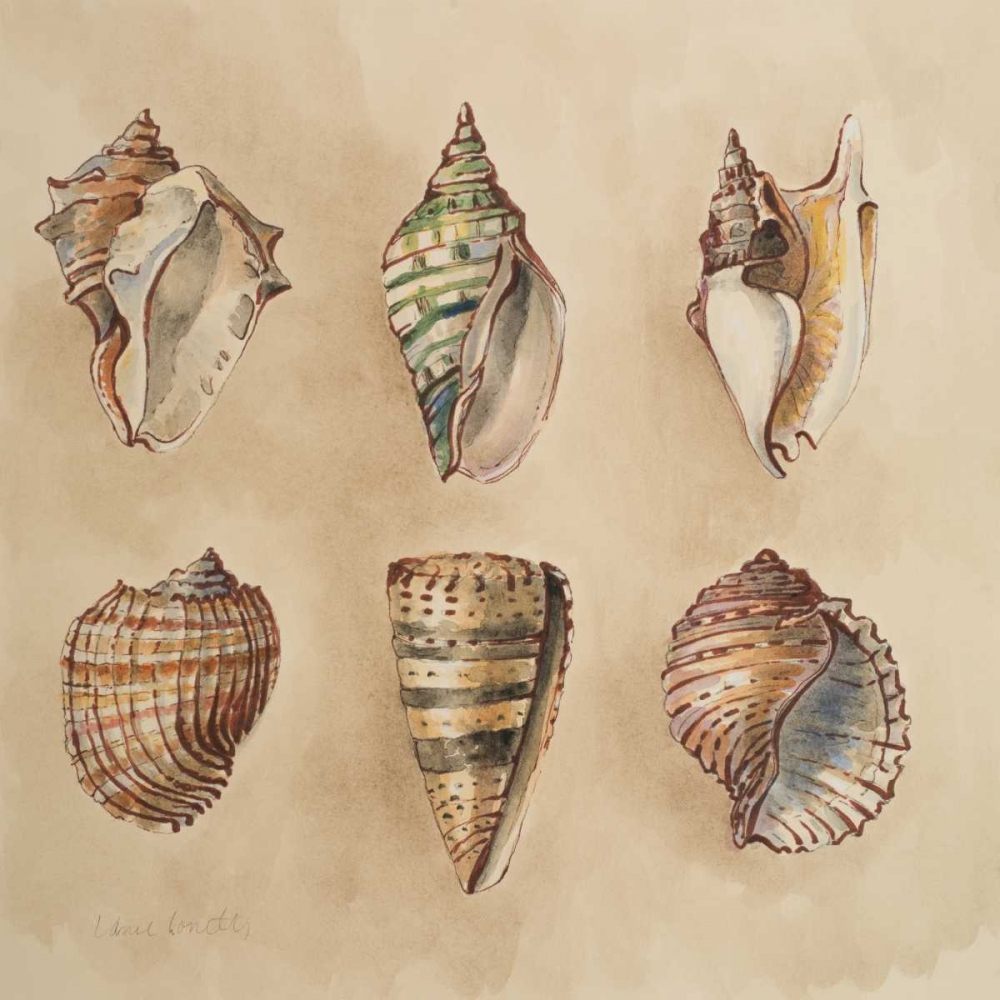 Seashells II art print by Lanie Loreth for $57.95 CAD