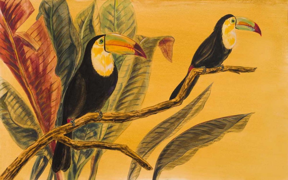 Toucans II art print by Linda Baliko for $57.95 CAD